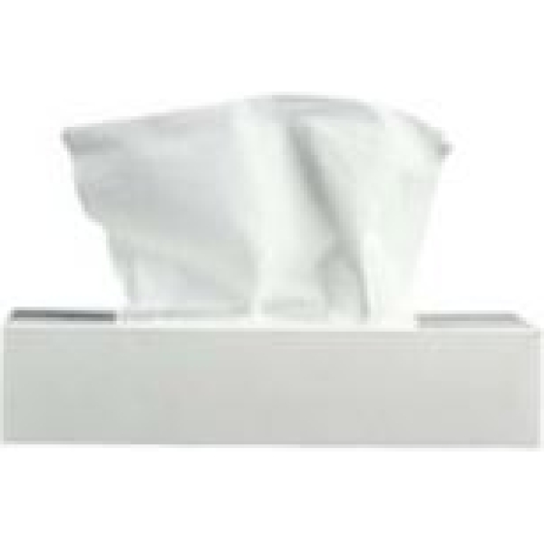 TISSUE BOX - WHITE - 100X2 PLY
